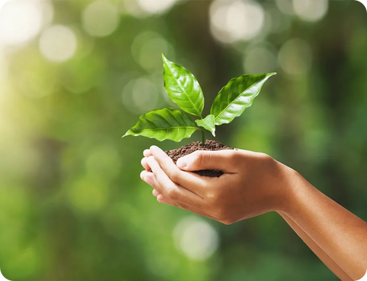 জিয়াংসু ডিংশুন মেডিকেল পণ্য কোং, লি.